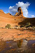 Delicate Arch reflects in a rainwater filled pothole on a cool winter evening, Arches National Park, Moab, Utah, USA