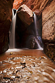 Professor Creek cascades over a chokestone deep in Mary Jane Canyon, Moab, Utah, USA