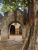 Ruins of an old caravanserai taken over by the jungle, Peshawar, Pakistan