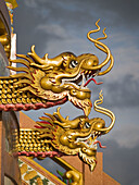 Golden dragons on Chinese temple, Kanchanaburi, Thailand