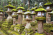 Stone lantern at the Kasuga shrine