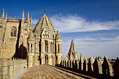 Catedral Vieja ('old cathedral'). Salamanca. Castilla-León, Spain.