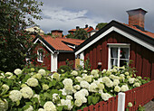 Båtsmanstugor, Västervik, Småland, Sweden
