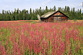 Hedeviken, Härjedalen, Sweden