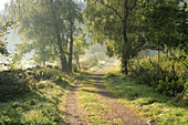 Botkyrka, Södermanland, Sweden