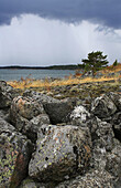 Rainclouds, Nävelsö, Småland, Sweden