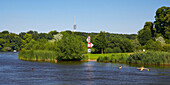 swimming at Potsdam on the river Havel, Brandenburg, Germany, Europe