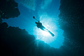 Taucher in Hoehle Siaes Tunnel, Mikronesien, Palau