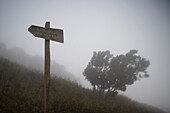 Direction sign, hiking trail, Camino de la Virgin, El Hierro, Canary Islands, Spain