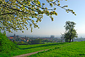 Blick auf Bamberg, Oberfranken, Bayern, Deutschland