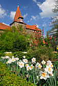 Wenzel castle, Lauf an der Pegnitz, Franconian Switzerland, Middle Franconia, Bavaria, Germany