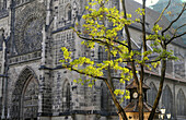 Rosette der St. Lorenz Kirche, Nürnberg, Mittelfranken, Bayern, Deutschland