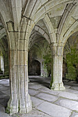 Llangollen, Valle Crucis Abbey, Cistercian Abbey, founded 1201, ruins, Denbigshire, Wales, UK