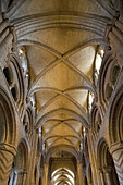 Durham, cathedral, mainly 1095-1133, central nave, Durhamshire, UK