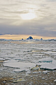 The sun setting on first year ice floes below the Antarctic Circle on the western side of the Antarctic Peninsula