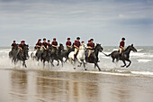 Household Cavalry at Holkham Beach Norfolk