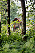 Small country shed/building in the woods