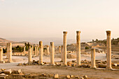 Columns roman temple ruins of artemis. Jerash. Jordan.