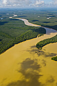 Rainforest and Kinabatangan River, Sabah, Borneo island, Malaysia