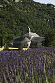 France  Provence  Vaucluse, Senanque Abbey  Lavender field