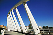 Bridge by Santiago Calatrava, Valencia. Comunidad Valenciana, Spain