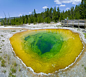 Morning Glory Pool  Upper Geyser basin Yellowstone National Park Wyoming  USA