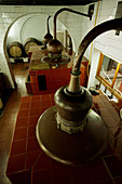 Gin Xoriguer distillery, Mao, Minorca. Balearic islands, Spain