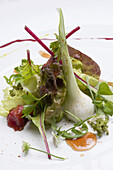 Spring salad at restaurant A Rexidora by Javier Gonzalez, Bentraces. Orense province, Galicia, Spain