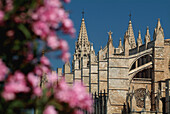 Cathedral. Palma de Mallorca. Balearic Islands. Spain.