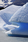 Glacier ice in Los Glaciares National Park near Calafate. Patagonia, Argentina