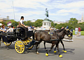 Austria, Vienna, carriage