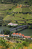 Portugal, Douro, Douro river at Pinhao, wineyards, bridge