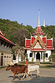 Thailand, Phetchaburi, Wat Kom Lositaram.