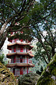 Turm des Hsiang-Te Tempels hinter Bäumen, Tienhsiang, Taroko Schlucht, Taroko Nationalpark, Taiwan, Asien