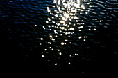 Sunlight sparkling on the water of the Saimaa lake, Saimaa Lake District, Finland, Europe