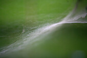 Spiderweb, Arzmoos, Sudelfeld, Bavaria, Germany