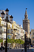 Giralda tower and Plaza de San Francisco, Sevilla. Andalucia, Spain.