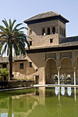 Pond and Torre de las Damas in Partal palace complex, Alhambra, Granada. Andalusia, Spain