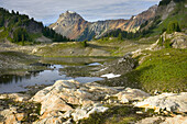 Alpine basin of Yellow Aster Butte, American Border peak in the distance 2437 meters 7995 feet, Mount Baker Wilderness Washington USA
