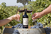 Couple toasting wine glasses, Clayhouse vineyard, Paso Robles, California, USA