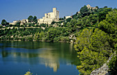Castillo Castle, Castle, Century X, Castellet i la Gornal, Middle Ages, of the Parc Natural Foix, Natural Park of Foix, Spain, Catalunya, Catalonia, Barcelona, Alt Penedes, Penedes, Sunny.