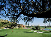 Santa Clara golf course, Marbella. Málaga province, Andalusia, Spain