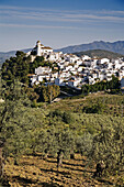 Alozaina. Serrania de Ronda, Malaga province, Andalucia, Spain