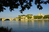 Notre Dame des Doms Cathedral and River Rhone  Avignon  Vaucluse  Provence-Alpes-Côte dAzur  Rhone valley  Provence  France