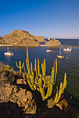The Ursa Major charter yacht and sailboats, Agua Verde Bay, Sea of Cortes, Baja California Sur, Mexico