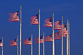 A row of American flags that encircle the Washington Monument blow in predawn light, Washington D C, U S A