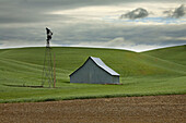 Barn in field, Washington, USA