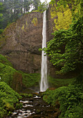 Waterfall, Columbia River Gorge, Oregon, USA