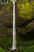 Waterfall, Columbia River Gorge, Oregon, USA