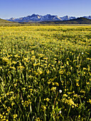 Sawtooth Mountains, Idaho, USA